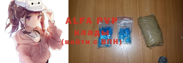 spice Аркадак