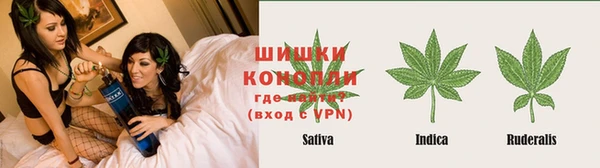 spice Аркадак