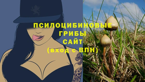 spice Аркадак