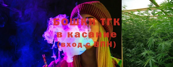 spice Аркадак
