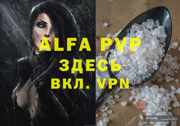 spice Аркадак