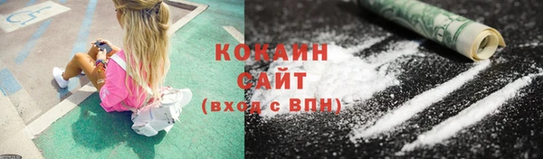 скорость Каменка