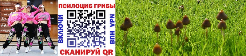 где продают наркотики  Рыльск  Галлюциногенные грибы MAGIC MUSHROOMS 